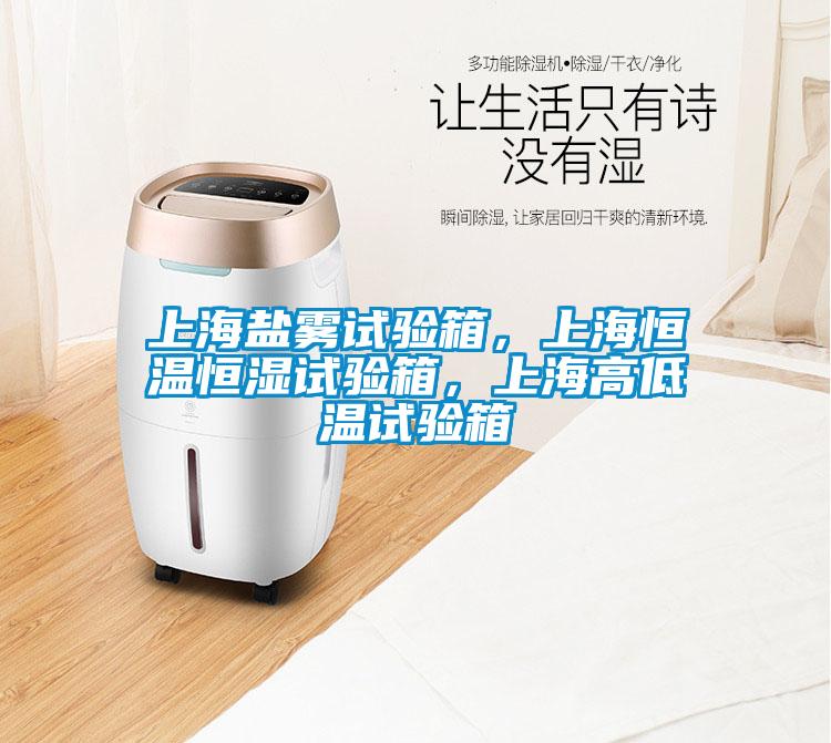 上海盐雾试验箱，上海恒温恒湿试验箱，上海高低温试验箱