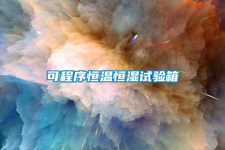 可程序恒温恒湿试验箱