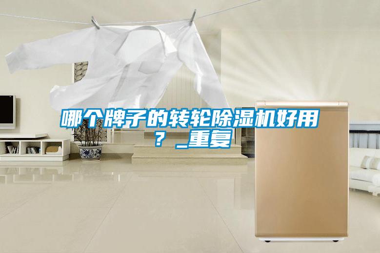 哪个牌子的转轮除湿机好用？_重复