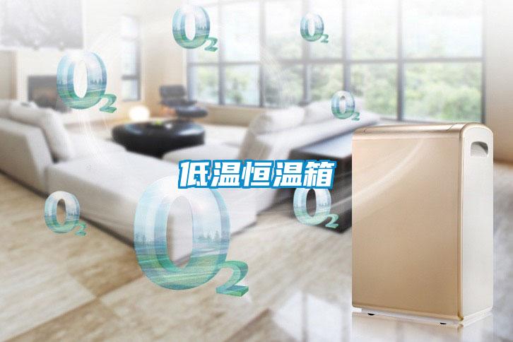 低温恒温箱