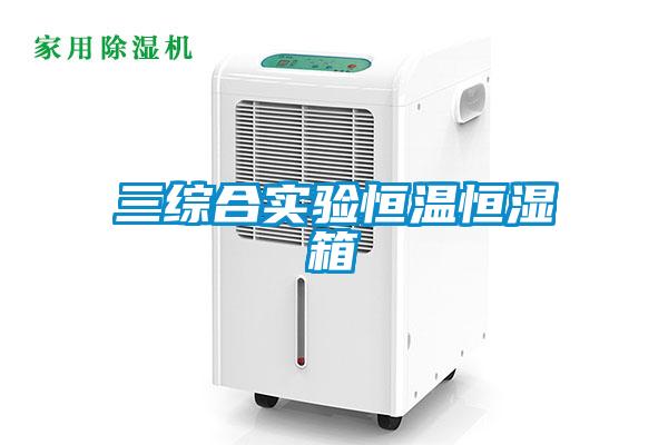 三综合实验恒温恒湿箱