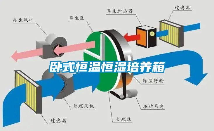 卧式恒温恒湿培养箱