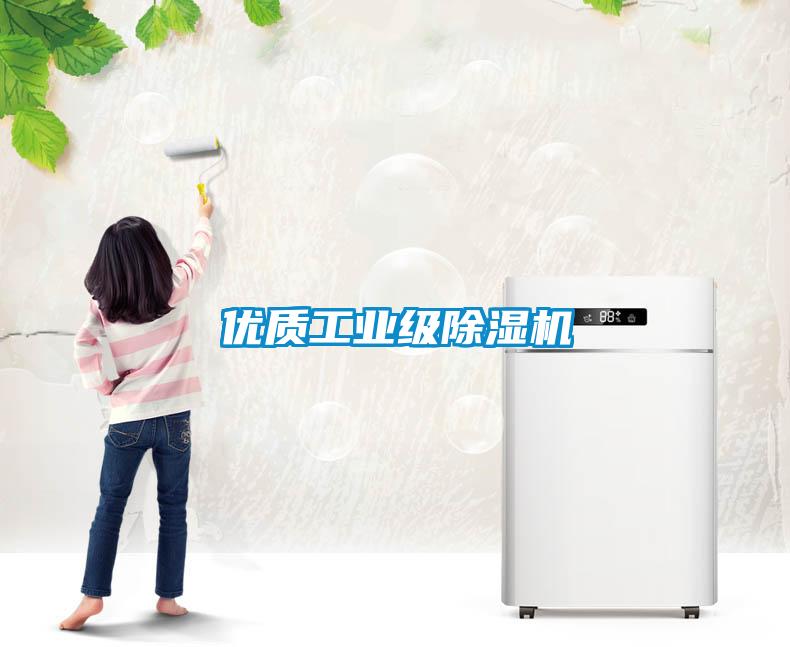 优质工业级除湿机
