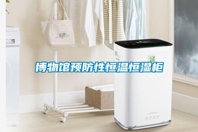 博物馆预防性恒温恒湿柜