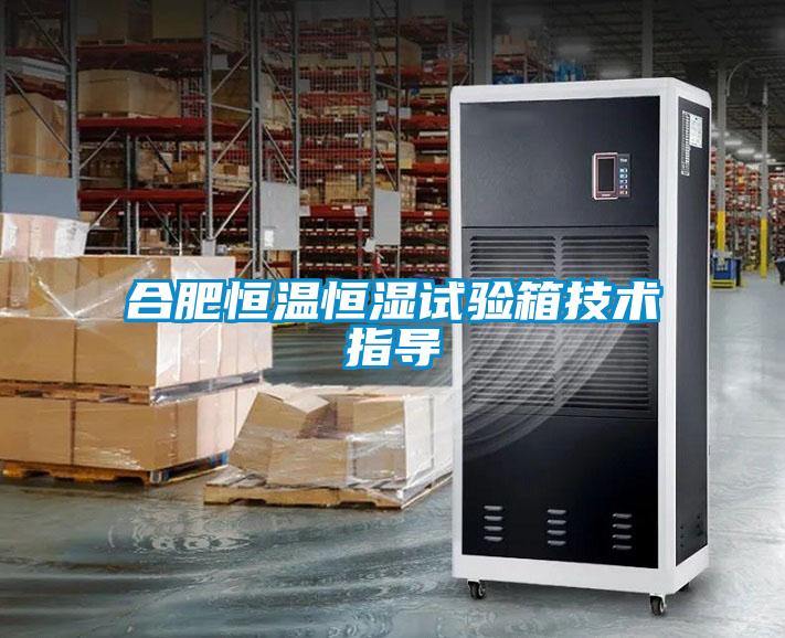 合肥恒温恒湿试验箱技术指导