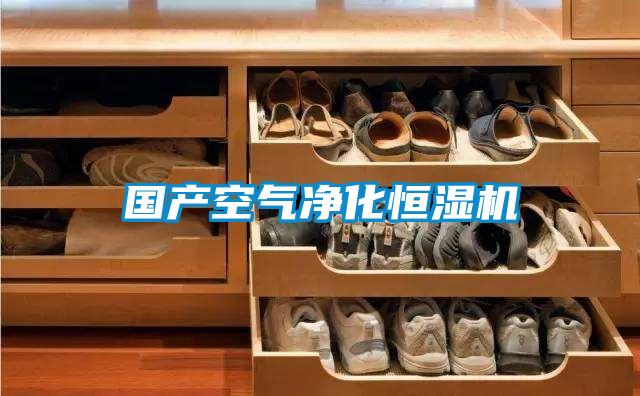 国产空气净化恒湿机