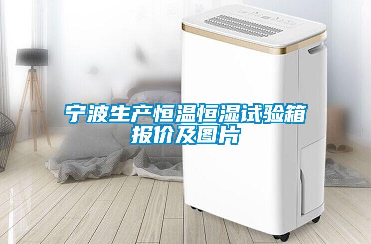 宁波生产恒温恒湿试验箱报价及图片