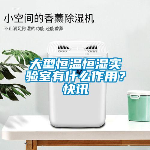 大型恒温恒湿实验室有什么作用？快讯