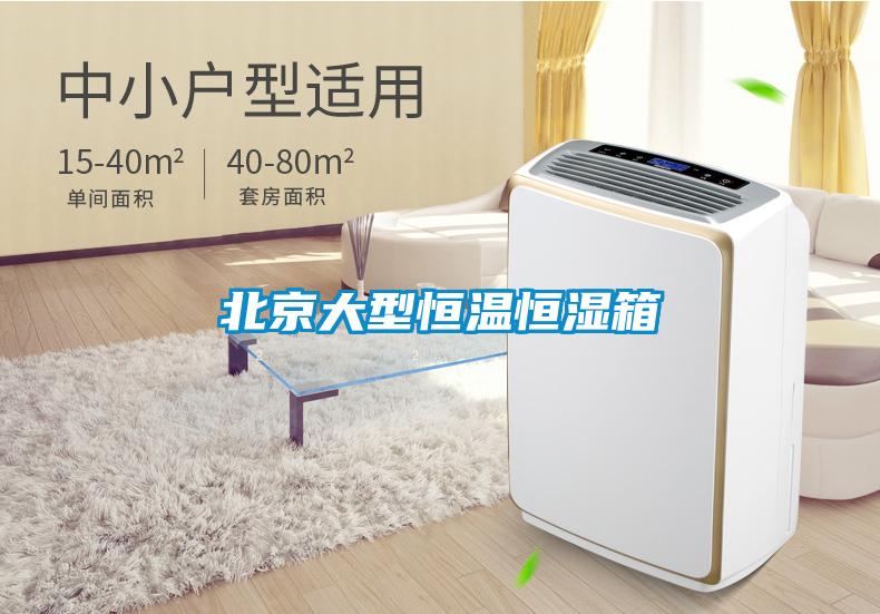 北京大型恒温恒湿箱