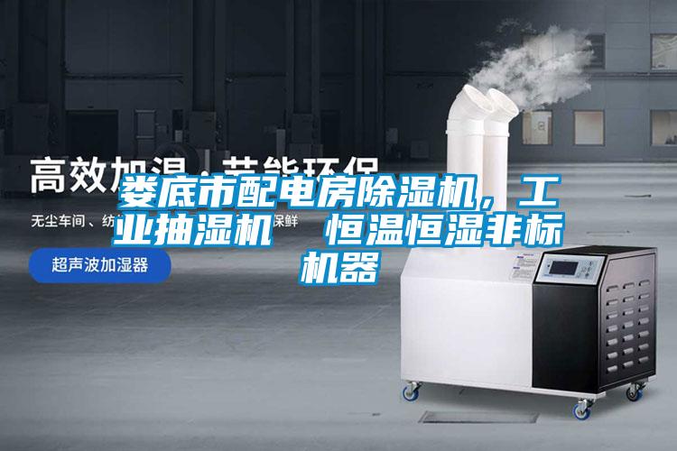 娄底市配电房除湿机，工业抽湿机  恒温恒湿非标机器