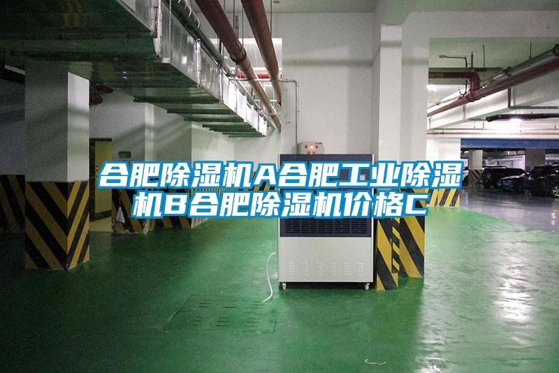 合肥除湿机A合肥宝马电子游戏平台网址
B合肥除湿机价格C