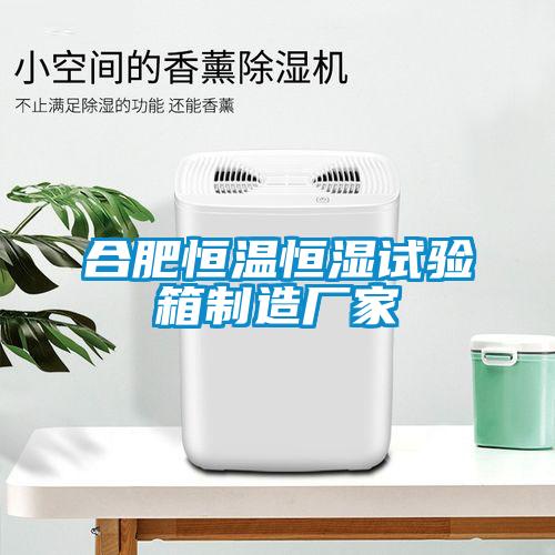 合肥恒温恒湿试验箱制造厂家