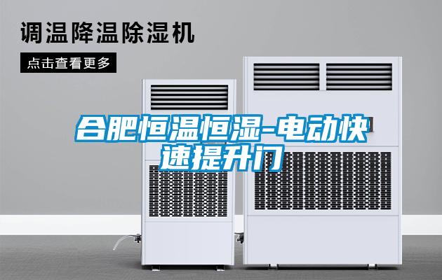 合肥恒温恒湿-电动快速提升门