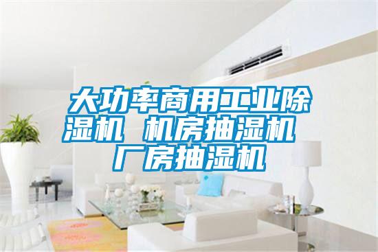 大功率商用宝马电子游戏平台网址
 机房抽湿机 厂房抽湿机