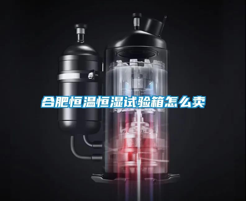 合肥恒温恒湿试验箱怎么卖