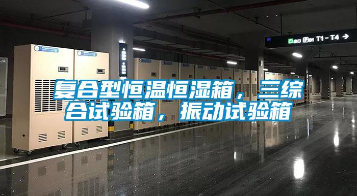 复合型恒温恒湿箱，三综合试验箱，振动试验箱