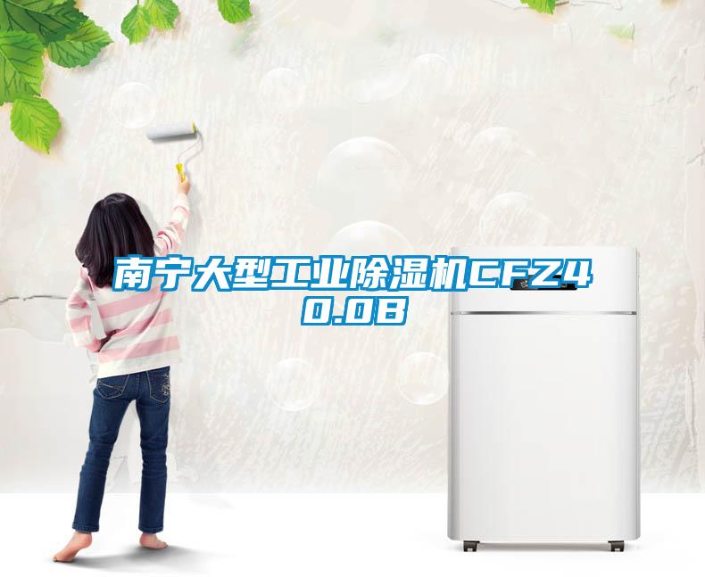 南宁大型宝马电子游戏平台网址
CFZ40.0B