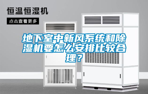地下室中新风系统和除湿机要怎么安排比较合理？