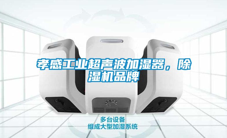 孝感工业超声波加湿器，除湿机品牌