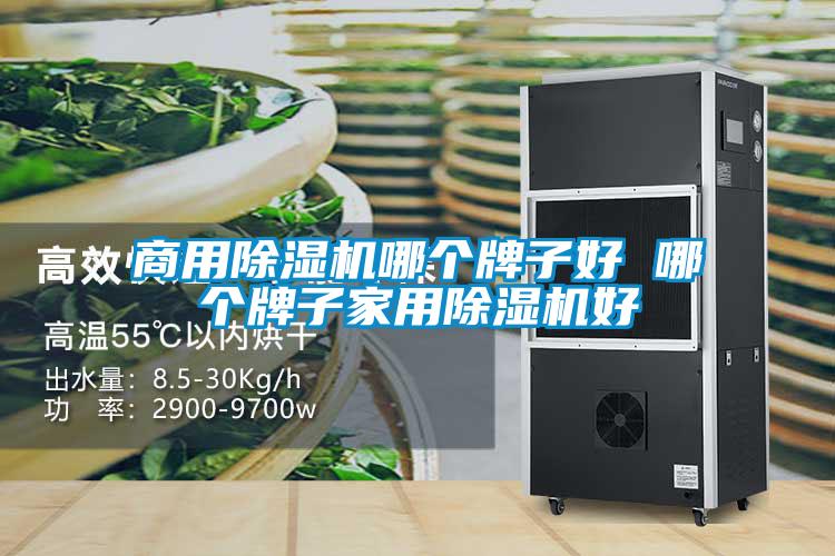 商用除湿机哪个牌子好 哪个牌子家用除湿机好