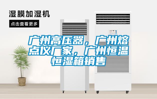 广州高压器，广州熔点仪厂家，广州恒温恒湿箱销售