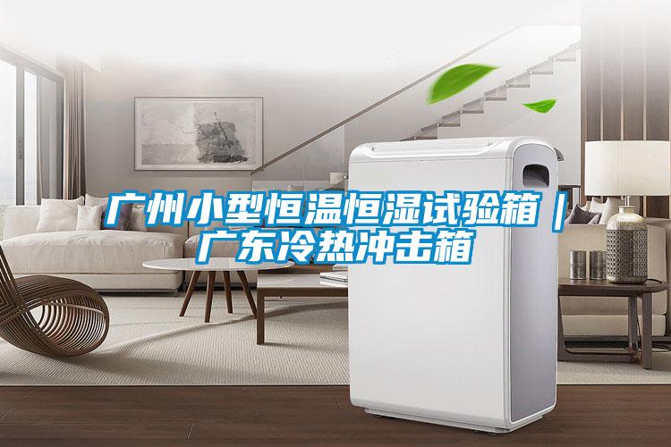 广州小型恒温恒湿试验箱｜广东冷热冲击箱