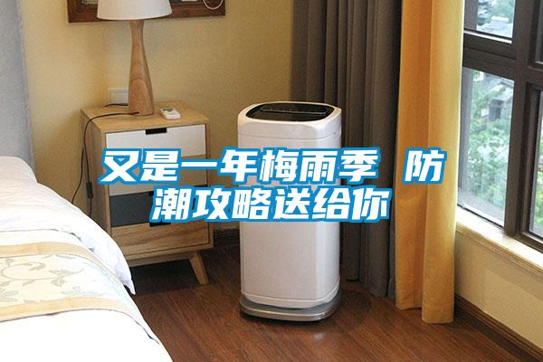 又是一年梅雨季 防潮攻略送给你