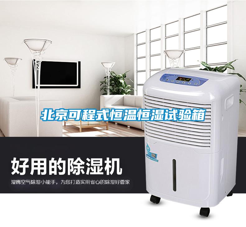北京可程式恒温恒湿试验箱