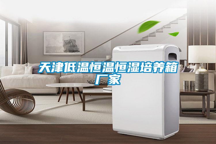 天津低温恒温恒湿培养箱厂家