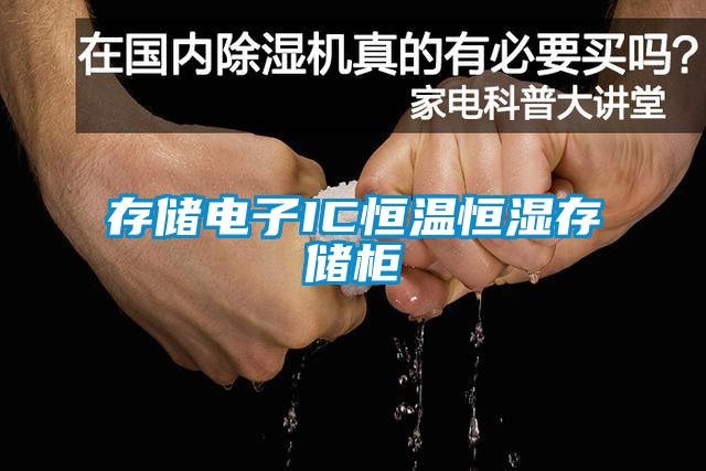存储电子IC恒温恒湿存储柜