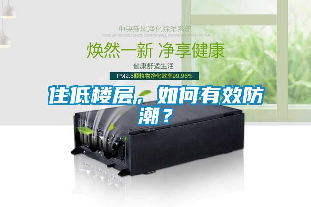 住低楼层，如何有效防潮？
