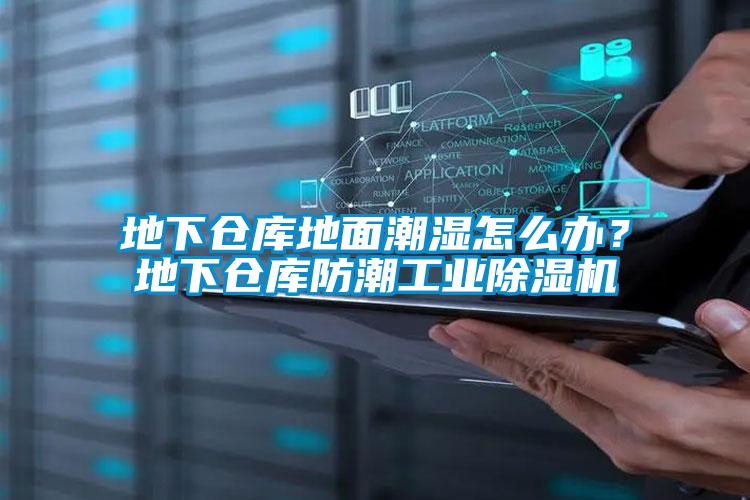 地下仓库地面潮湿怎么办？地下仓库防潮宝马电子游戏平台网址
