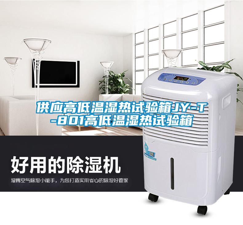 供应高低温湿热试验箱JY-T-801高低温湿热试验箱