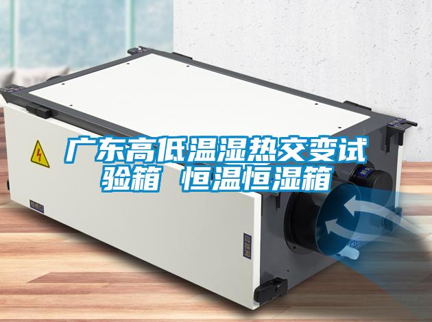 广东高低温湿热交变试验箱 恒温恒湿箱