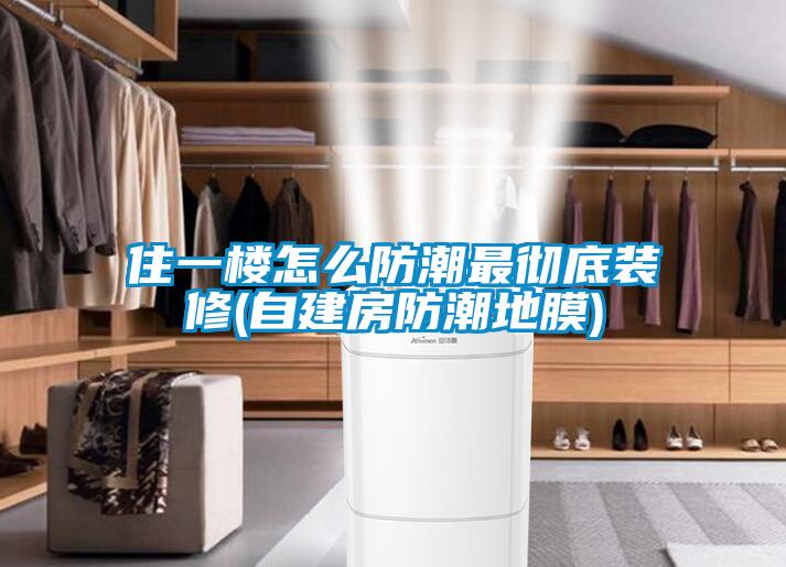 住一楼怎么防潮最彻底装修(自建房防潮地膜)