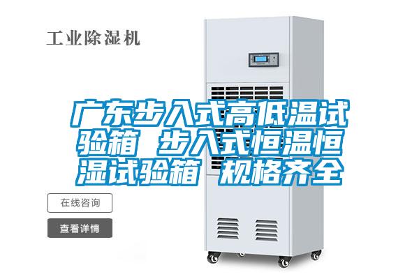 广东步入式高低温试验箱 步入式恒温恒湿试验箱 规格齐全