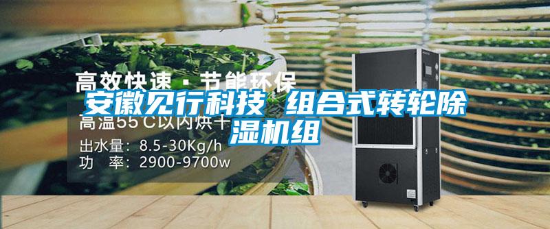 安徽见行科技 组合式转轮除湿机组