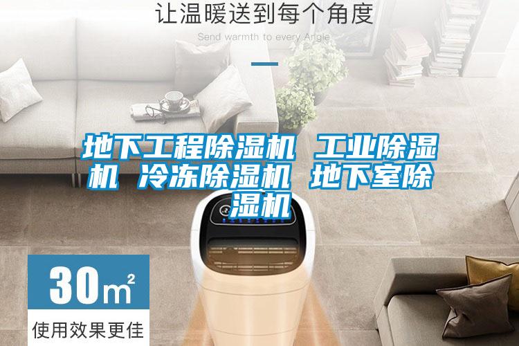 地下工程除湿机 宝马电子游戏平台网址
 冷冻除湿机 地下室除湿机