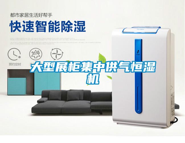 大型展柜集中供气恒湿机