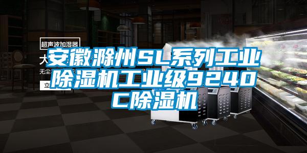 安徽滁州SL系列宝马电子游戏平台网址
工业级9240C除湿机