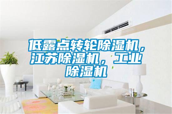 低露点转轮除湿机，江苏除湿机，宝马电子游戏平台网址
