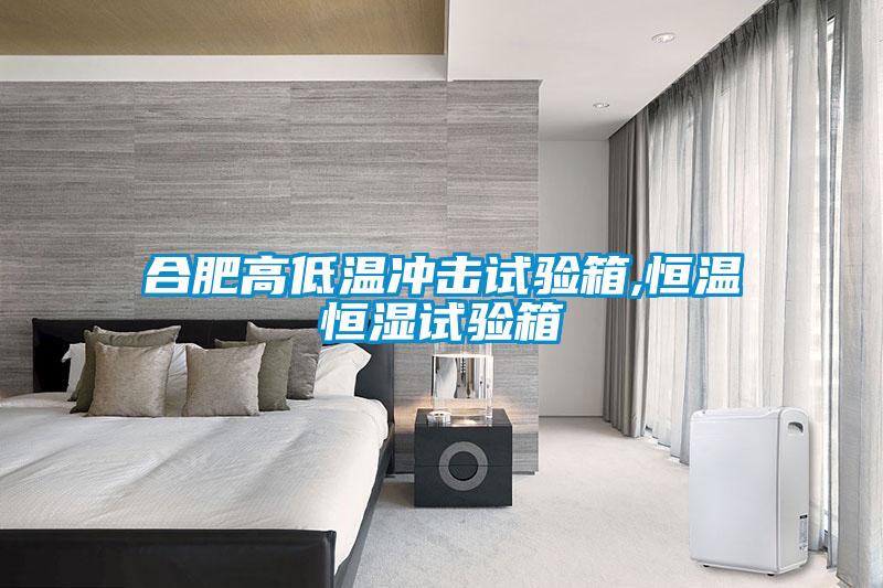 合肥高低温冲击试验箱,恒温恒湿试验箱