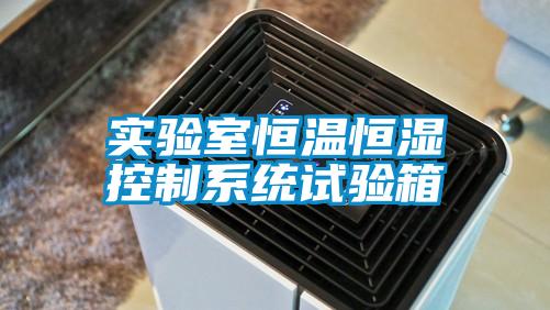 实验室恒温恒湿控制系统试验箱