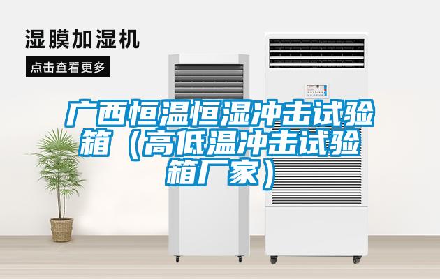 广西恒温恒湿冲击试验箱（高低温冲击试验箱厂家）