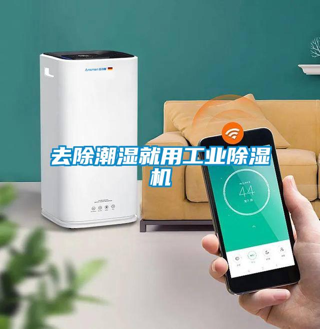 去除潮湿就用宝马电子游戏平台网址

