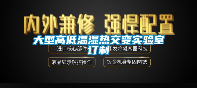 大型高低温湿热交变实验室订制