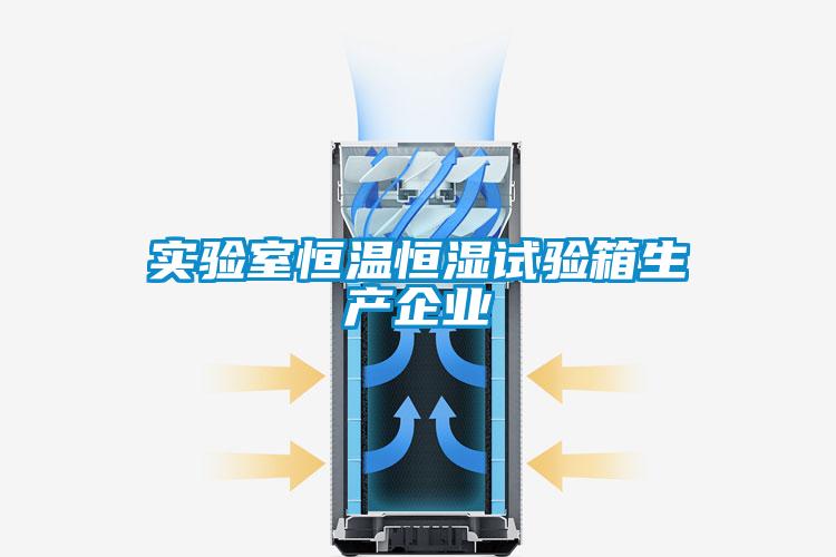 实验室恒温恒湿试验箱生产企业