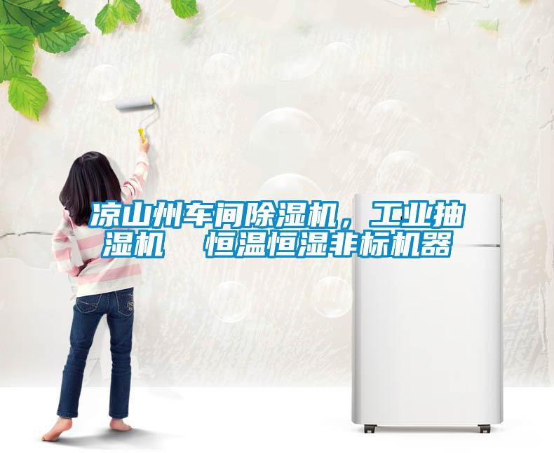 凉山州车间除湿机，工业抽湿机  恒温恒湿非标机器