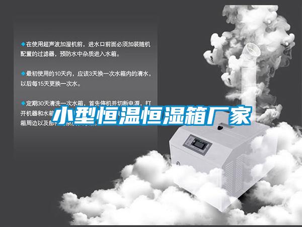 小型恒温恒湿箱厂家
