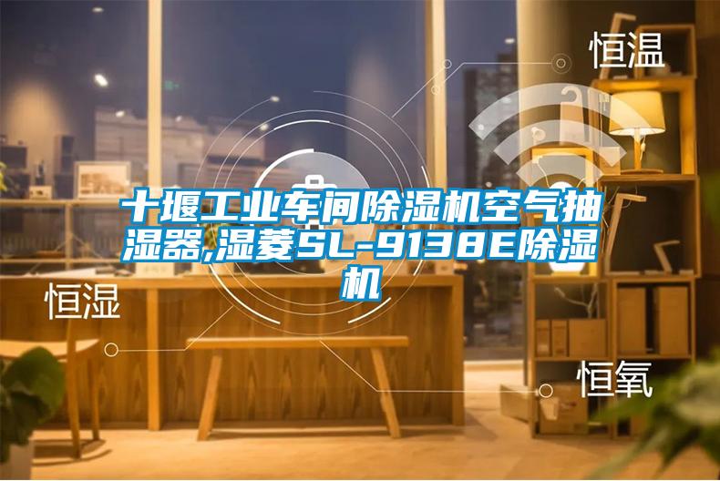 十堰工业车间除湿机空气抽湿器,湿菱SL-9138E除湿机